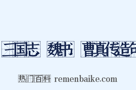 三国志.魏书.曹真传造句是什么意思的图片